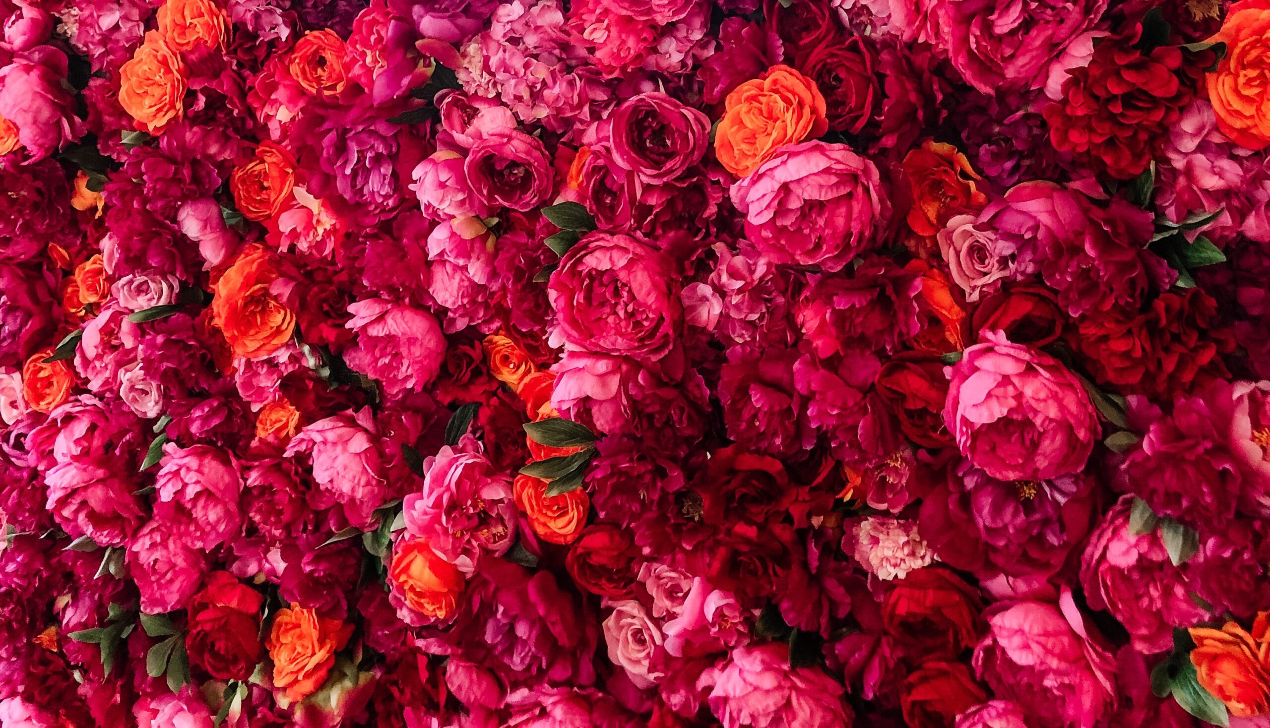Header Image
